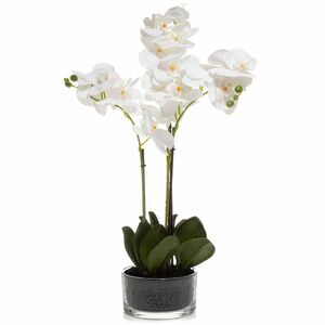 ABELLA Flora künstliche Orchidee Glastopf Höhe 55cm