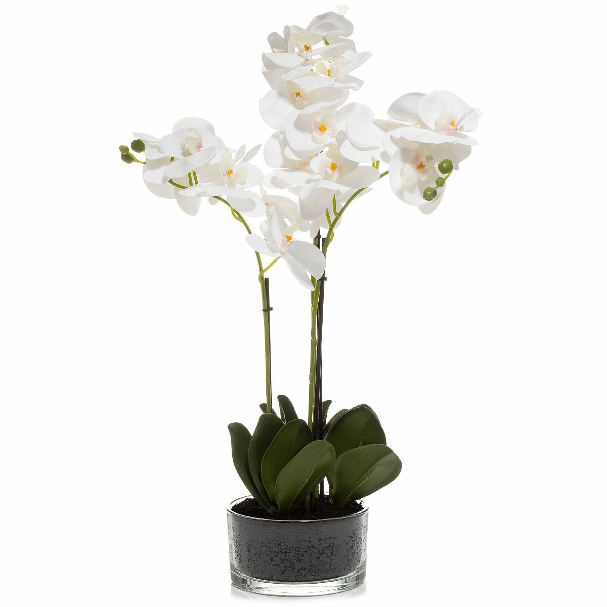Bild 1 von ABELLA Flora künstliche Orchidee Glastopf Höhe 55cm