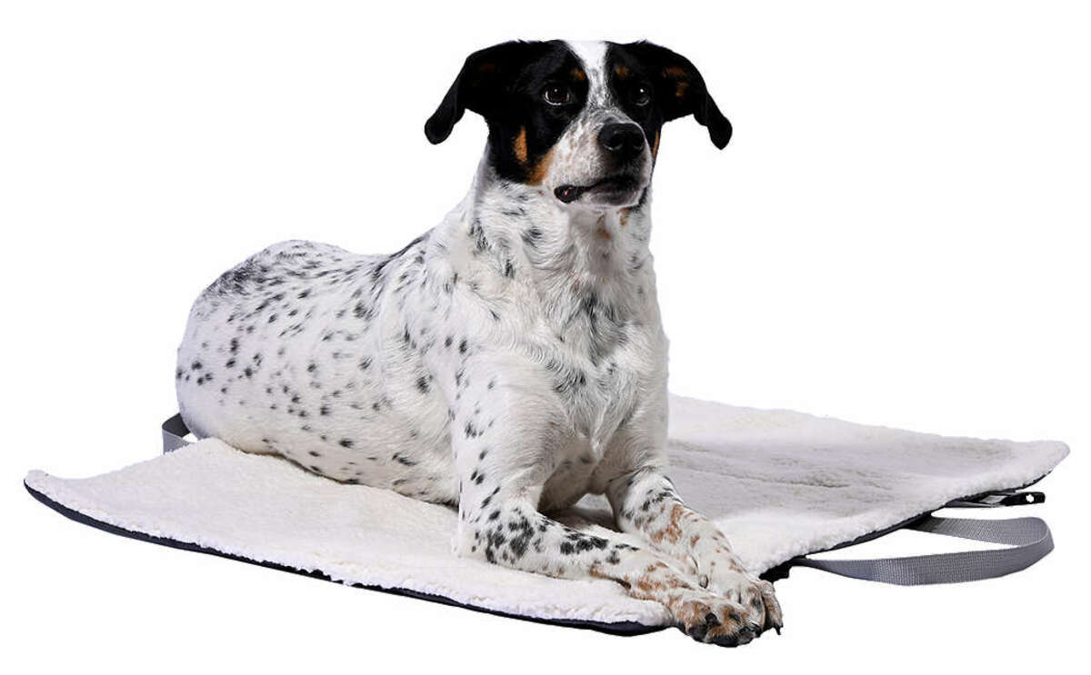 Bild 1 von DOBAR Haustier-Reisedecke