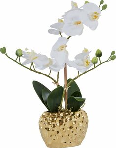 Kunstpflanze »Orchidee« Orchidee, Leonique, Höhe 38 cm