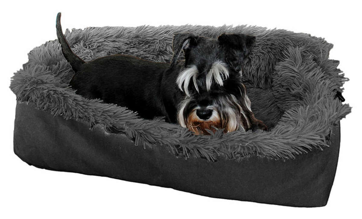 Bild 1 von 2-in-1-Haustierkissen