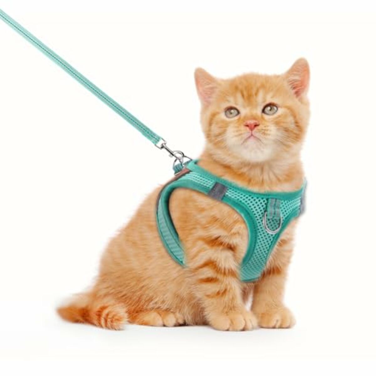 Bild 1 von Katzengeschirr, Katzengeschirr mit Leine Ausbruchsicher Refl