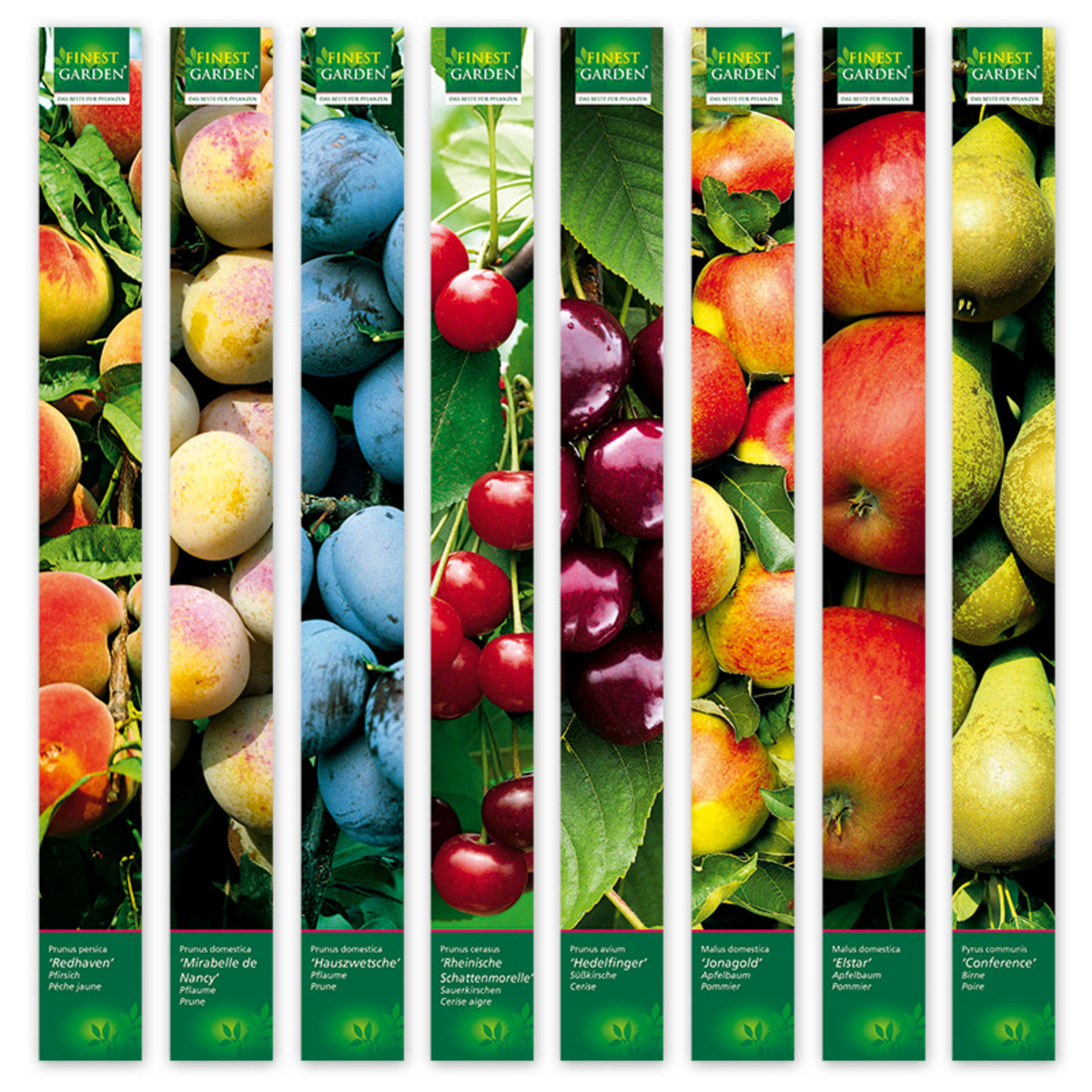 Finest Garden Obstbäume von Norma ansehen!