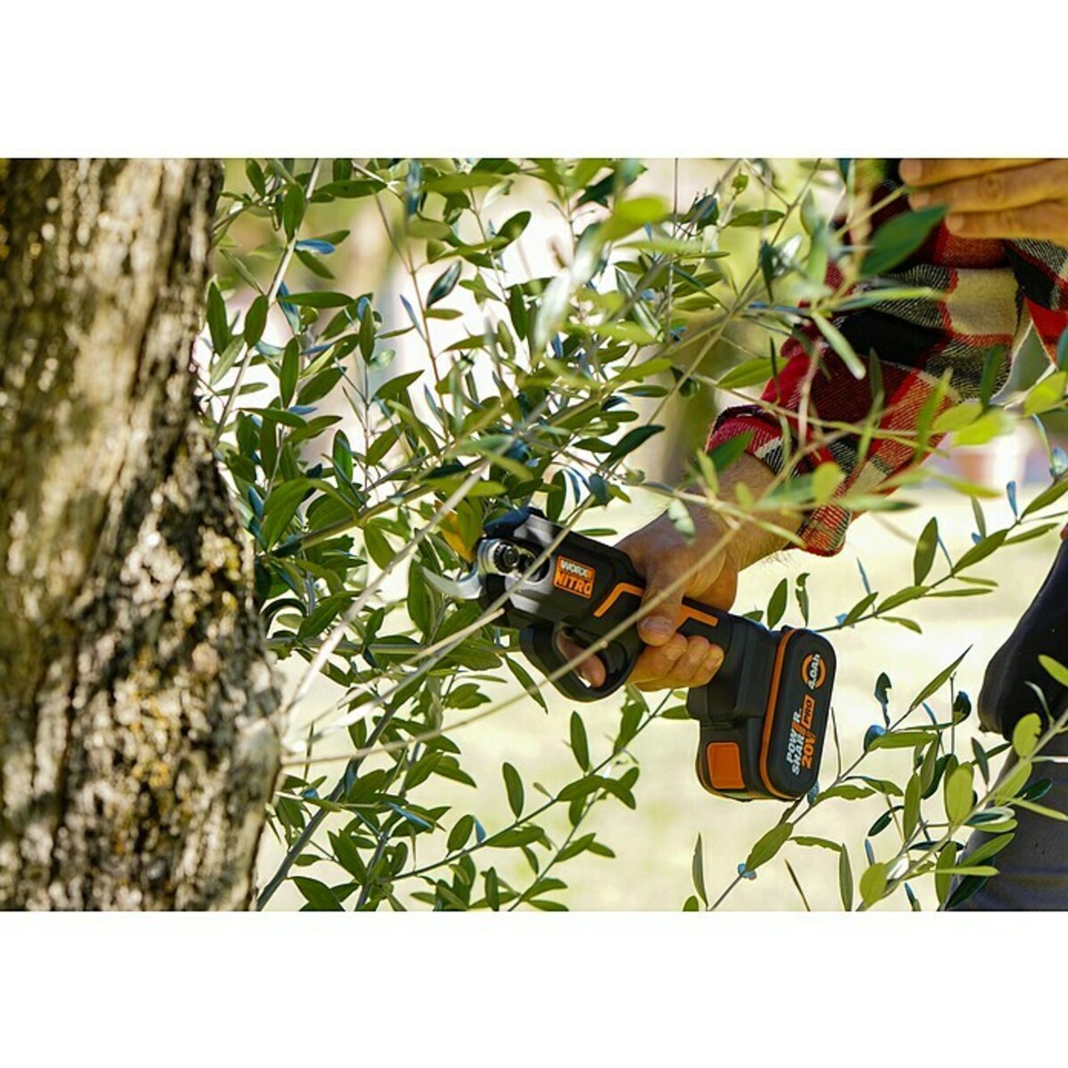 Bild 3 von Worx PowerShare 20V Akku-Astschere WG330E.9