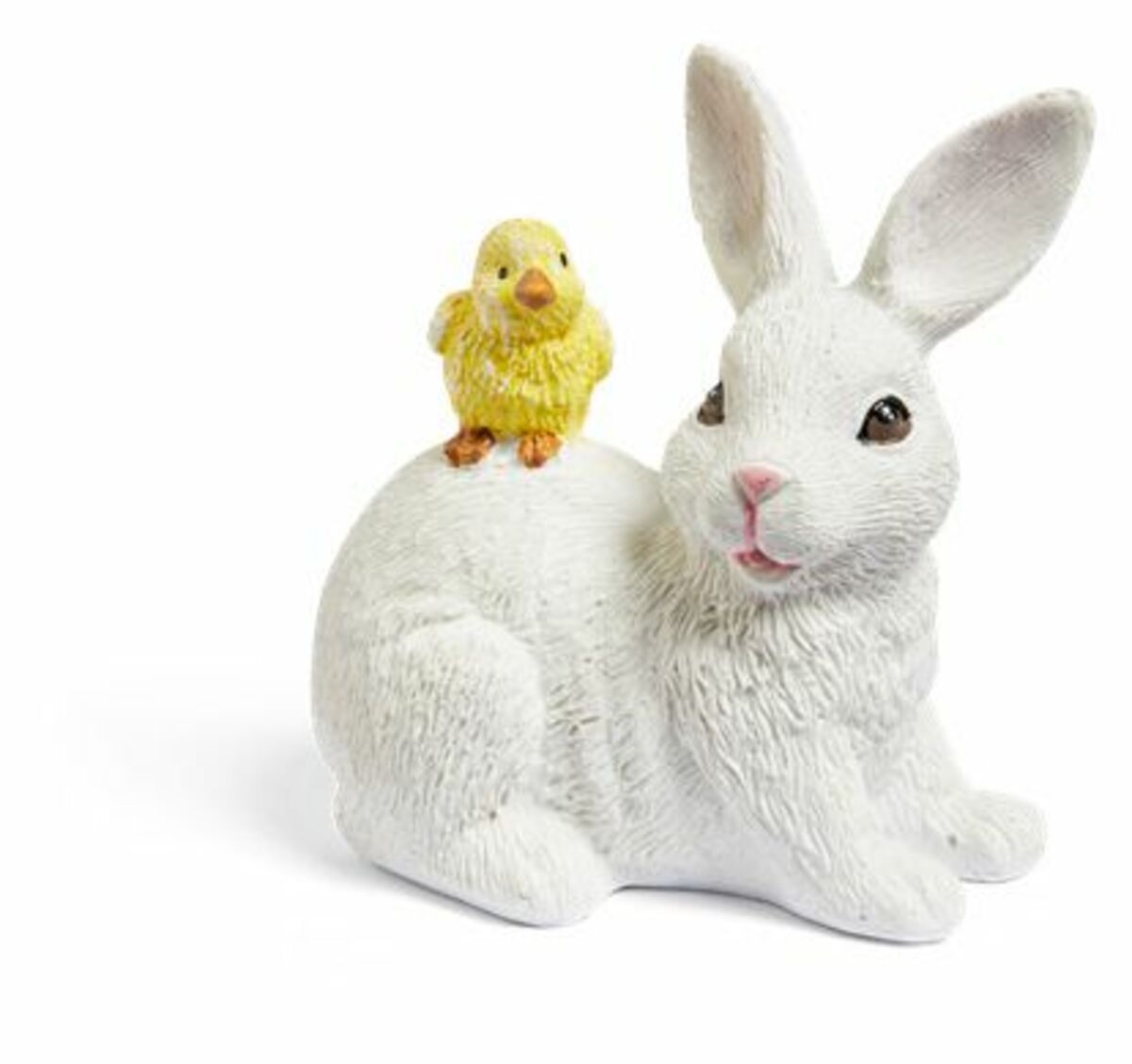 Bild 1 von Hase mit Küken