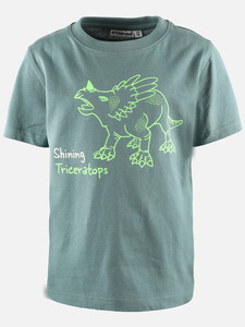 Jungen Shirt mit Dino-Leuchtmotiv
                 
                                                        Grün