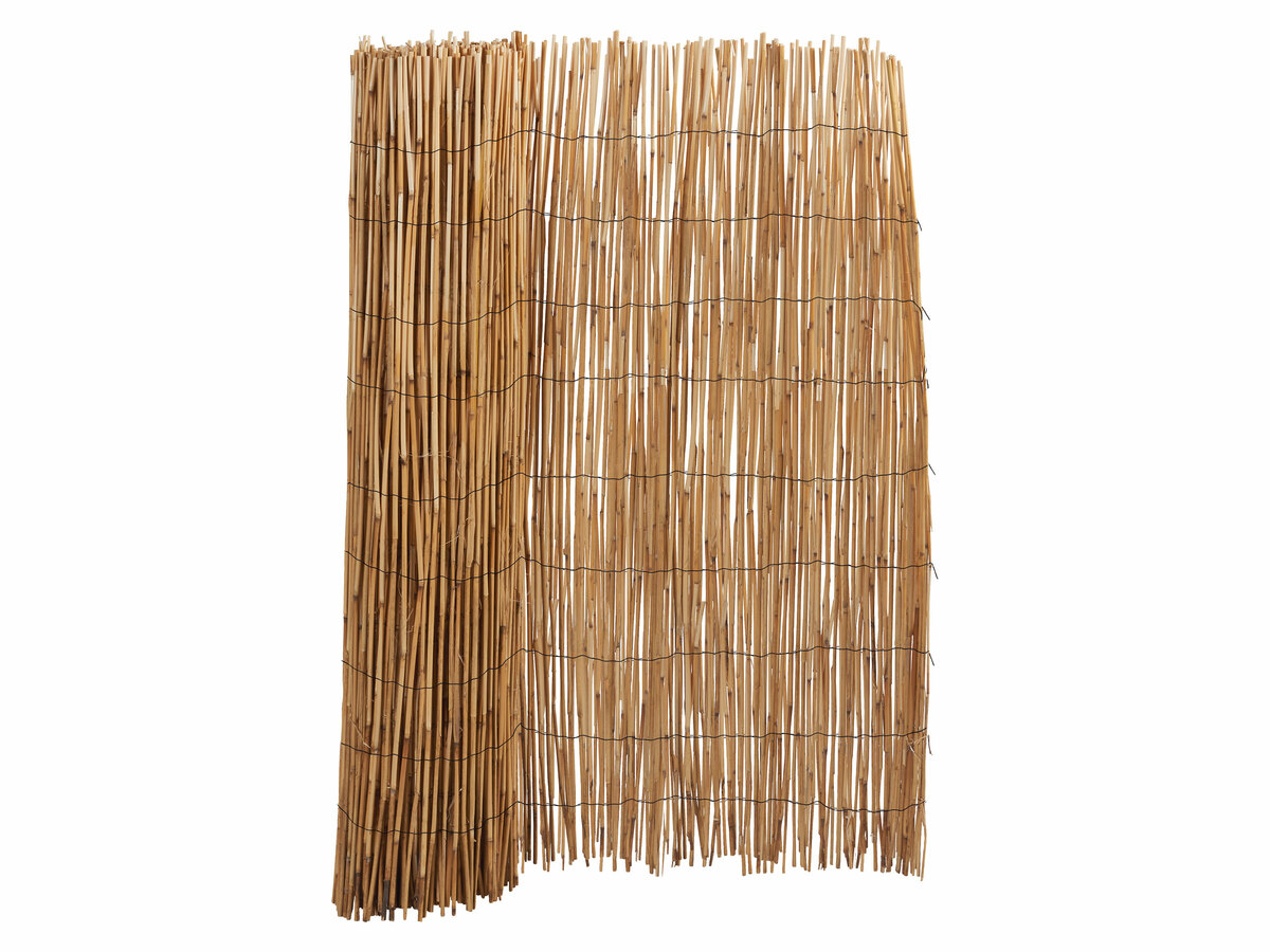 LIVARNO home Schilf Sichtschutz, 100 x 600 cm, kürzbar von Lidl für 34