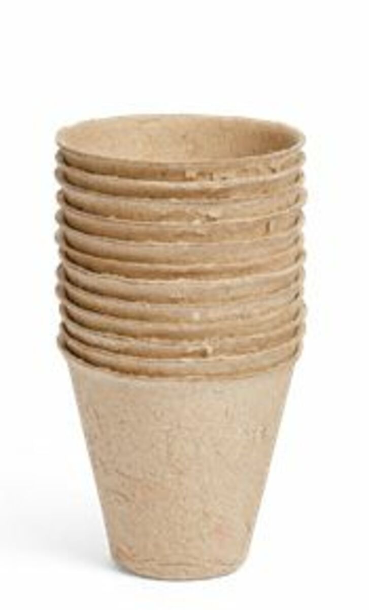 Bild 2 von Anzuchttöpfchen