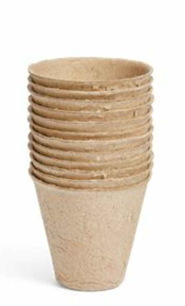 Bild 2 von Anzuchttöpfchen