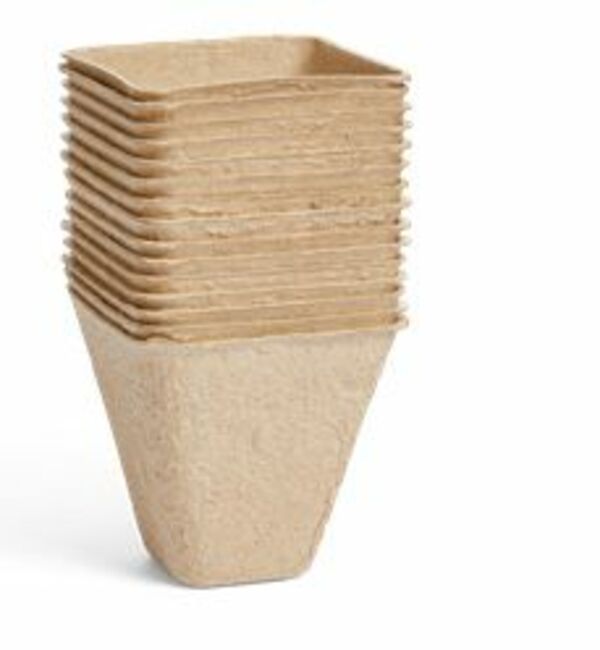 Bild 4 von Anzuchttöpfchen