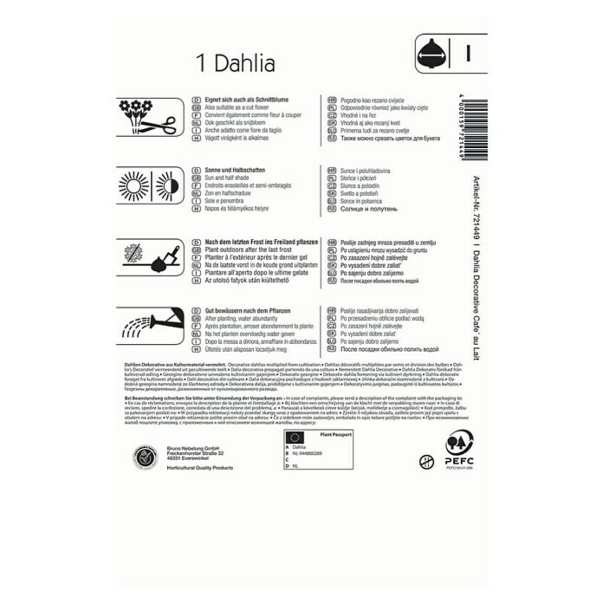 Bild 2 von Kiepenkerl Herbstblumenzwiebeln Dahlie