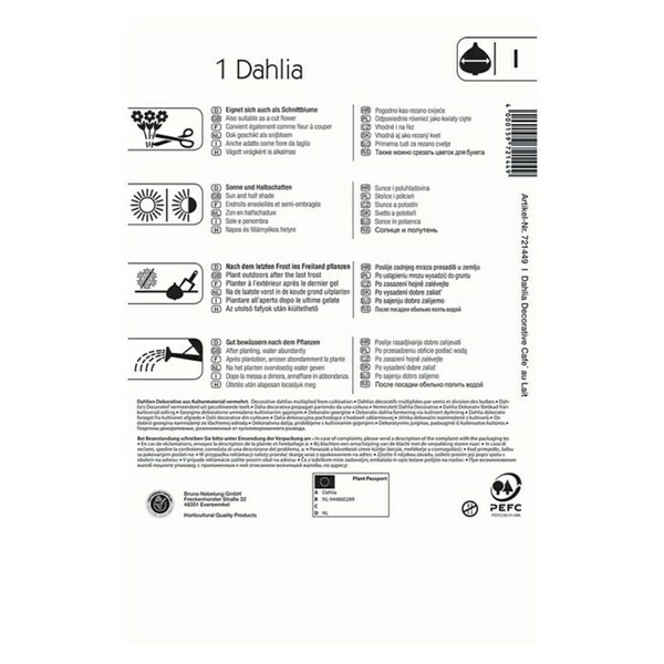 Bild 2 von Kiepenkerl Herbstblumenzwiebeln Dahlie
