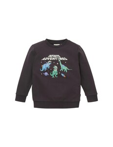 TOM TAILOR - Mini Boys Sweatshirt mit Print Dino