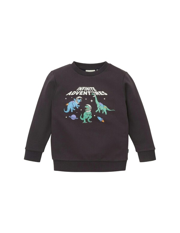 Bild 1 von TOM TAILOR - Mini Boys Sweatshirt mit Print Dino