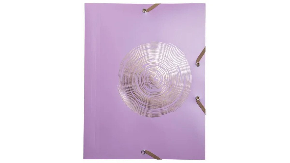 Bild 1 von EXACOMPTA Sammelmappe A4 mit Gummizug + 3 Klappen sortiert