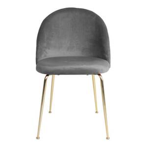 Esstisch Stühle in Grau Samt Metallgestell in Messingfarben (2er Set)