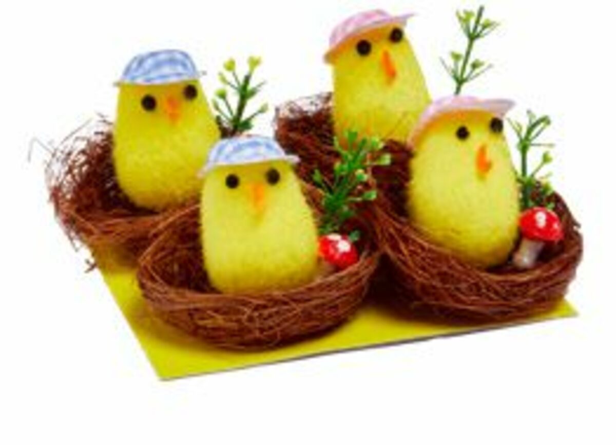 Bild 1 von Küken-Set im Nest