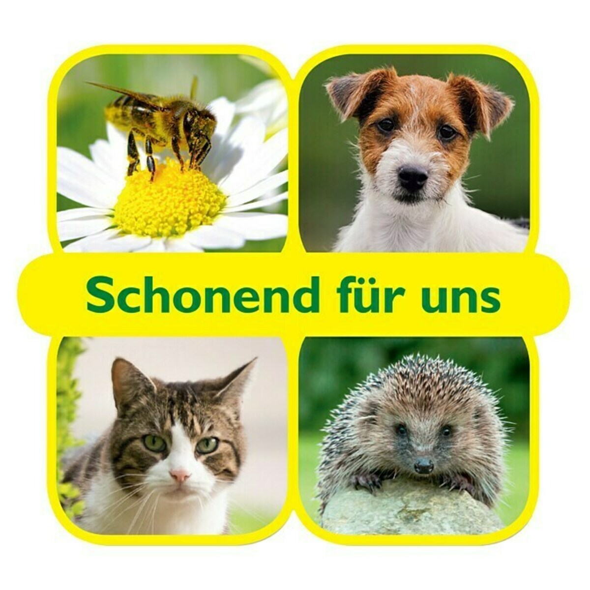 Bild 2 von Neudorff BioKraft Grundstoff Essig