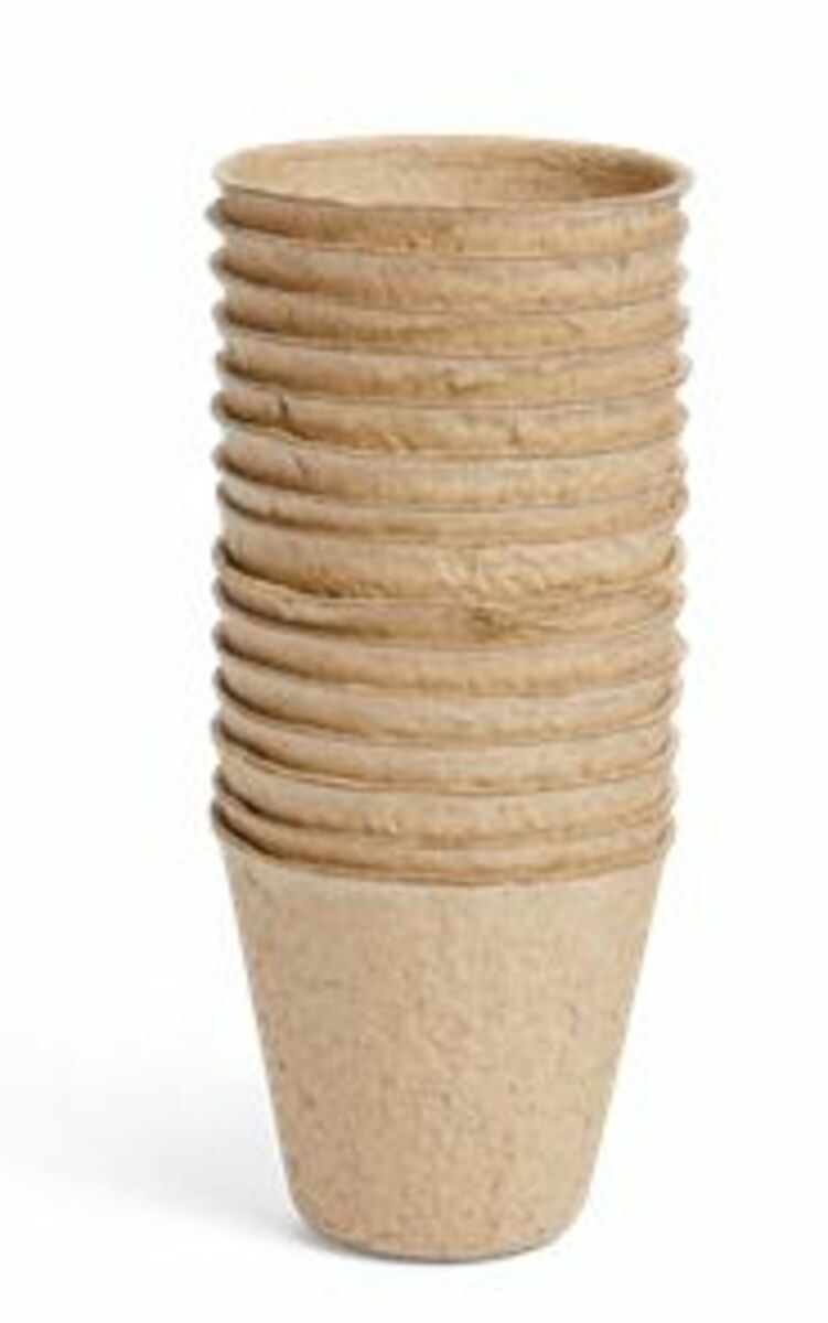 Bild 3 von Anzuchttöpfchen