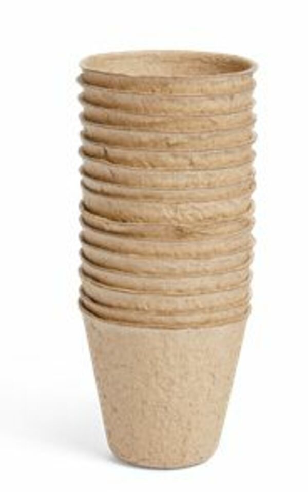 Bild 3 von Anzuchttöpfchen