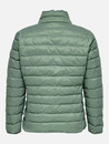 Bild 2 von Only Carmakoma CARTAHOE QUILTED JACK Steppjacke
                 
                                                        Grün