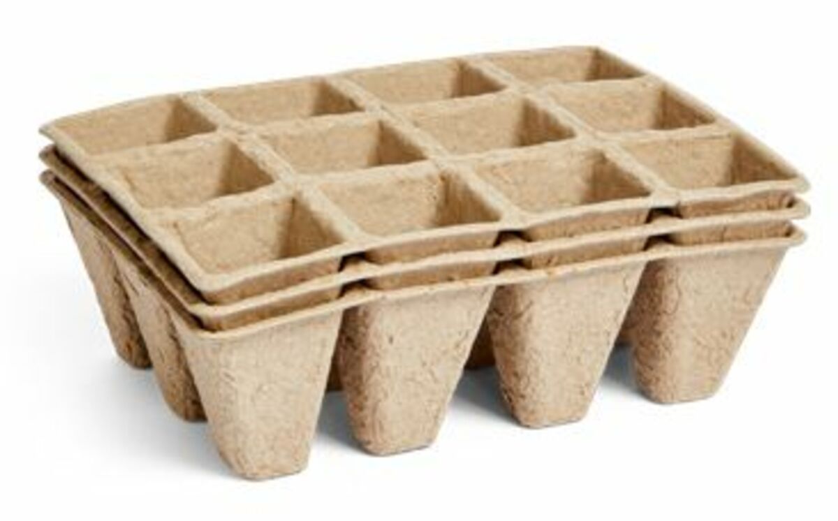 Bild 1 von Anzuchttöpfchen