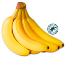 Bild 1 von Bananen