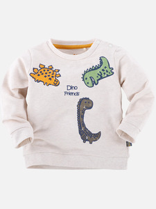Baby Jungen Sweatshirt mit Frontprint
                 
                                                        Beige