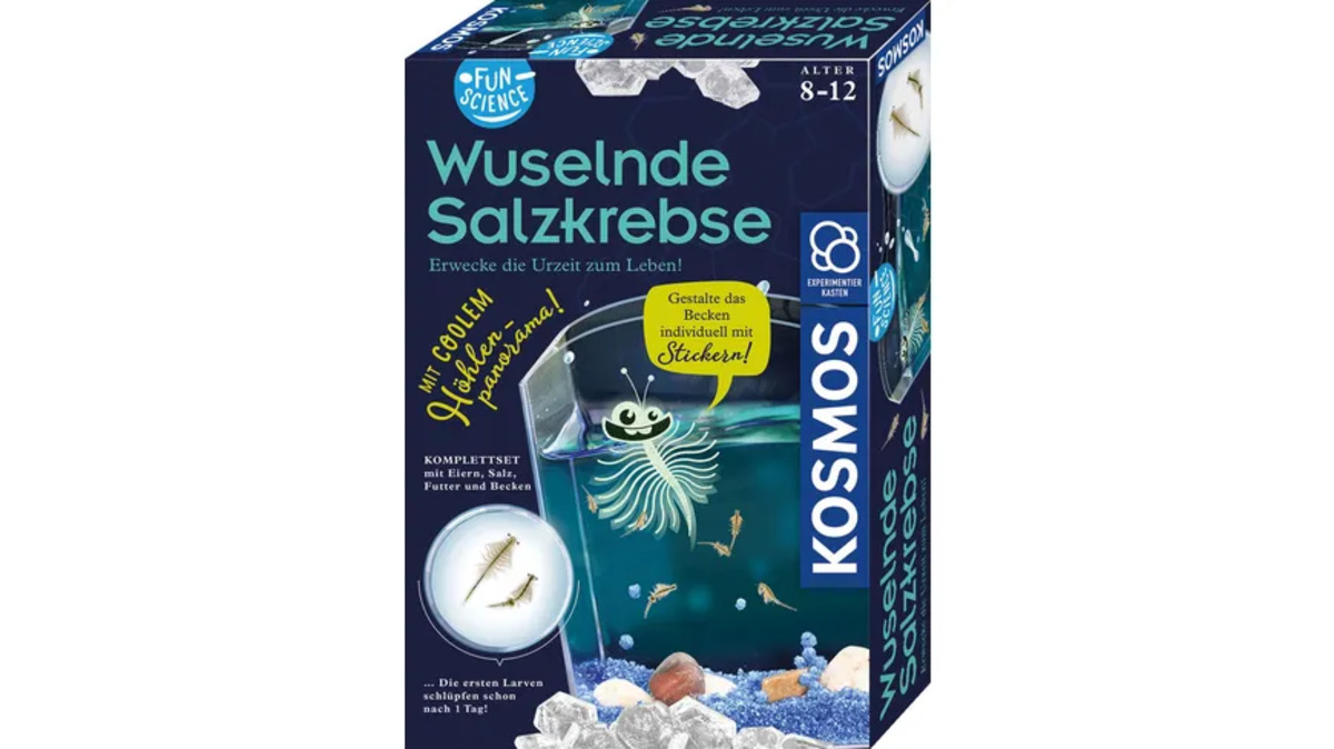 Bild 1 von KOSMOS -  Fun Science Wuselnde Salzkrebse Züchte Urzeitkrebse und entdecke ihren Lebensraum Experimentierkasten