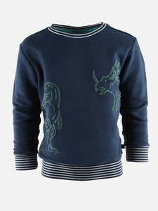 Jungen Sweatshirt mit Dino-Rubberprint
                 
                                                        Blau
