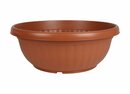 Bild 1 von Pflanzschale Harmonie 50cm Terrakotta