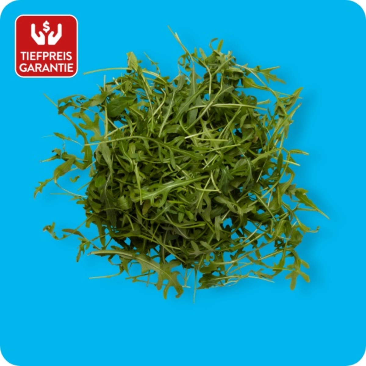 Bild 1 von Rucola, Ursprung: Italien