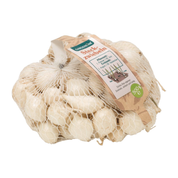 GARDENLINE Steckzwiebeln 300g von ALDI Nord ansehen!