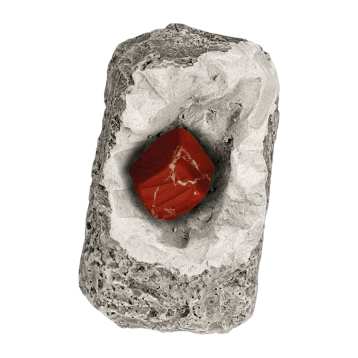 Bild 3 von KOSMOS Ausgrabungs-Ei