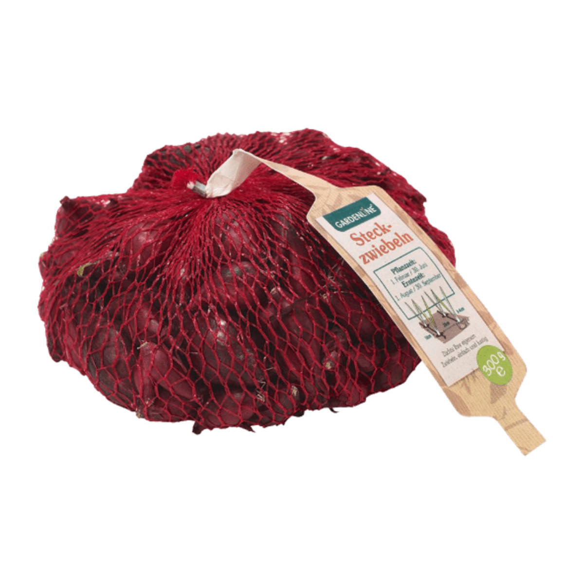 Bild 3 von GARDENLINE Steckzwiebeln 300g