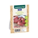 Bild 4 von GARDENLINE Premium-Pflanzkartoffeln