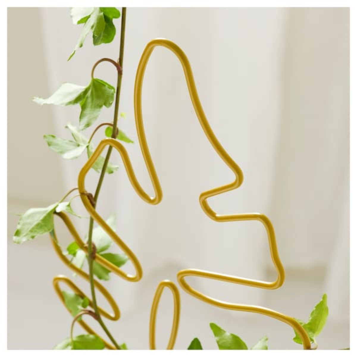 Bild 3 von DAKSJUS  Pflanzenwachstumsstütze 2er-Set