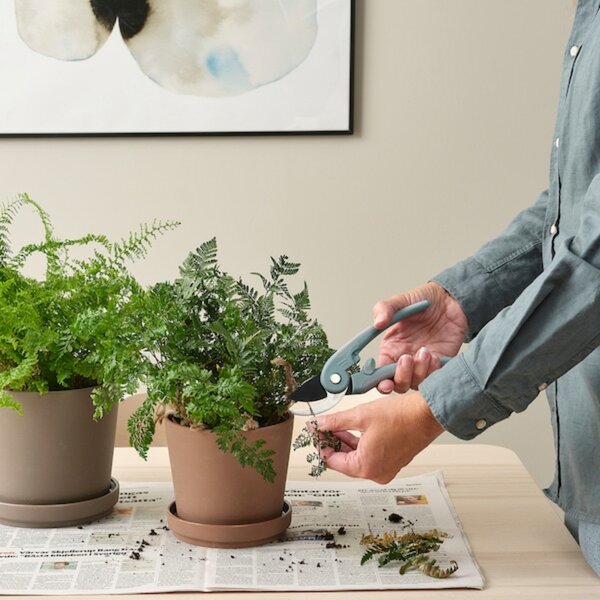 Bild 3 von BRYTBÖNA  Gartenschere