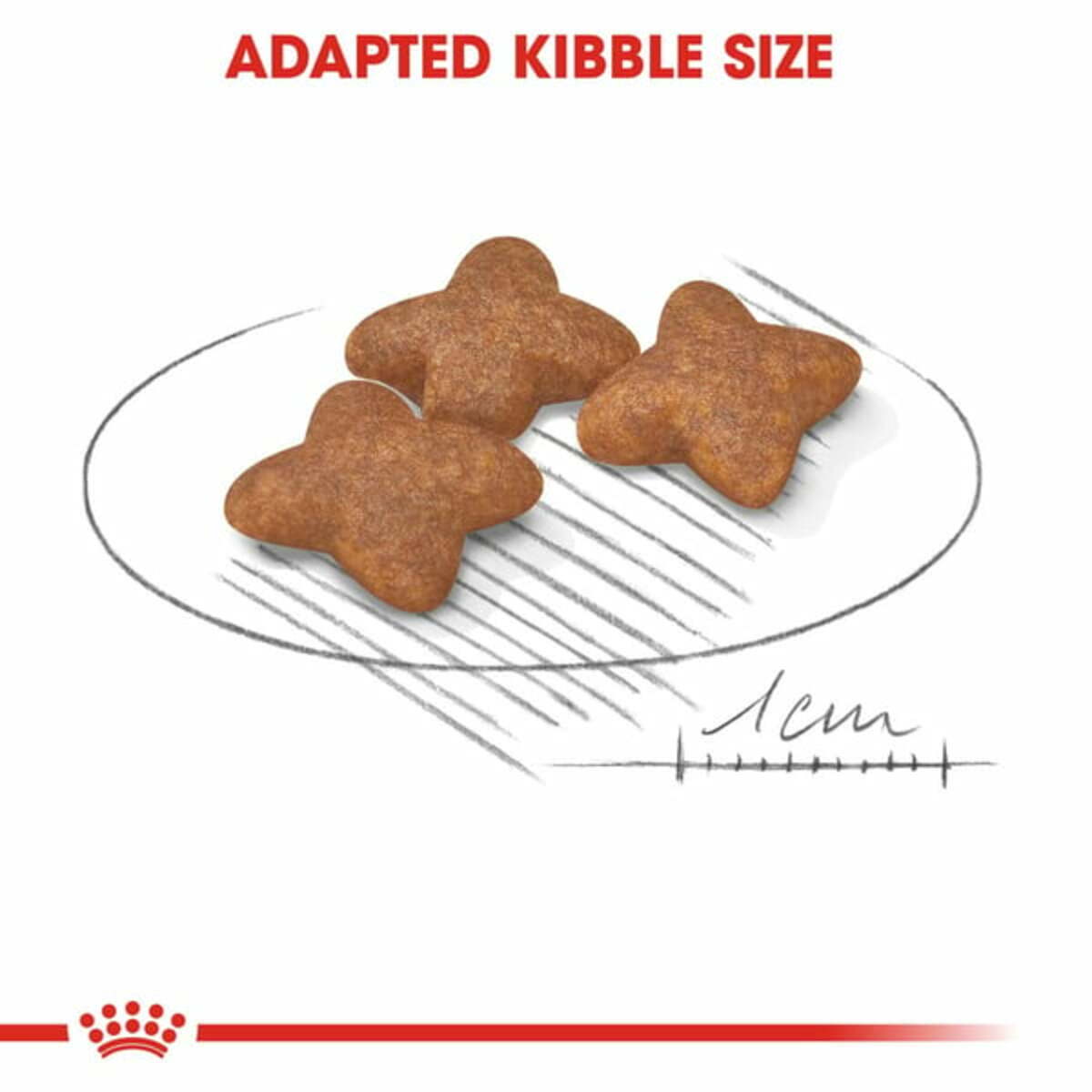 Bild 4 von ROYAL CANIN MINI Adult Trockenfutter für kleine Hunde 8kg +1kg gratis