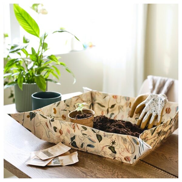 Bild 3 von DAKSJUS  Pflanzunterlage