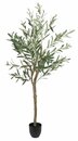 Bild 2 von Kunstpflanze HAVHEST H155cm olivgrün