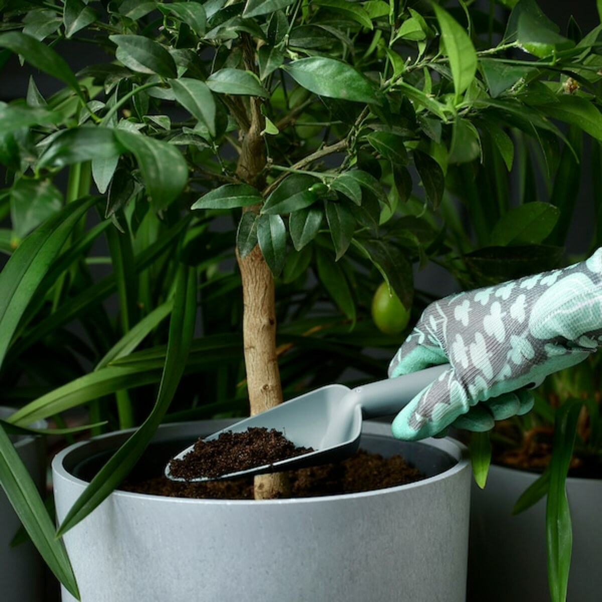 Bild 4 von GRÄSMARÖ  Gartengerät 3er-Set