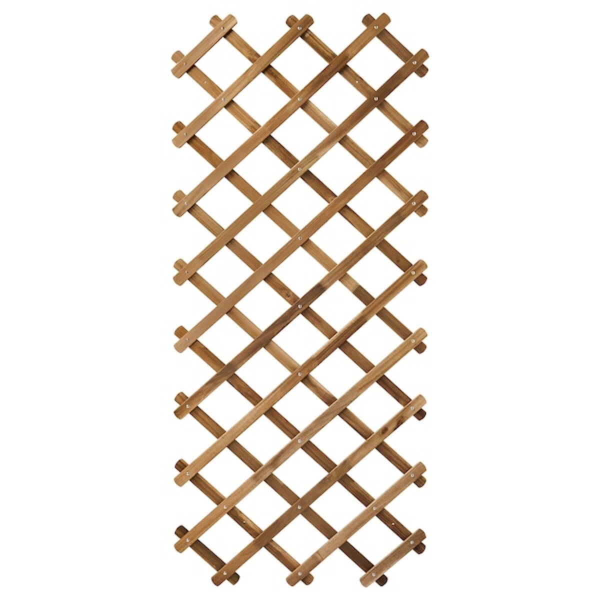 Bild 1 von ASKHOLMEN  Spalier