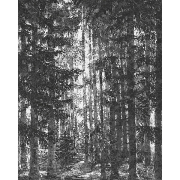 Bild 1 von Komar Vliestapete, Schwarz, Weiß, Bäume, 200x250 cm, Fsc, Tapeten Shop, Vliestapeten