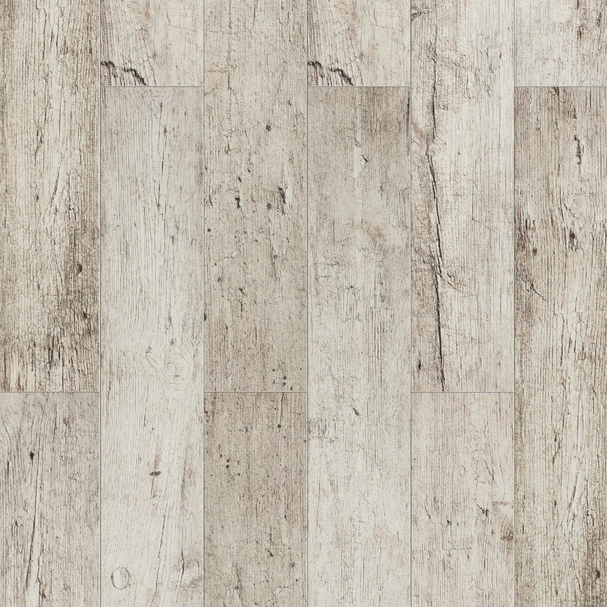 Bild 1 von Classen Laminat 'Galaxy 4V' Viviero Spruce hellgrau 8 mm