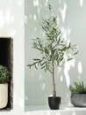 Bild 4 von Kunstpflanze HAVHEST H155cm olivgrün