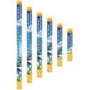 Bild 1 von sera LED X-Change Tube marin blue sunrise 520mm / 13,0W