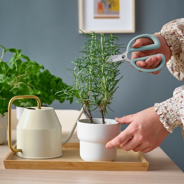 Bild 2 von BRYTBÖNA  Kräuterschere