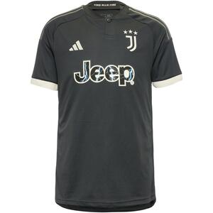 Adidas Juventus Turin 23-24 3rd Teamtrikot Herren Grau