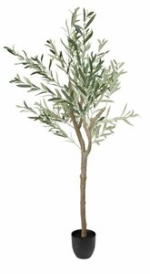 Kunstpflanze HAVHEST H155cm olivgrün